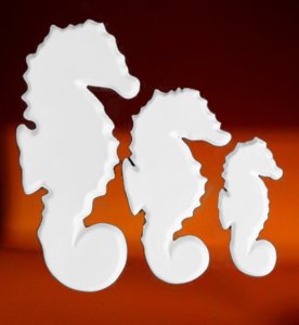 Bisküvi Tabtab Deniz Atı Takımı