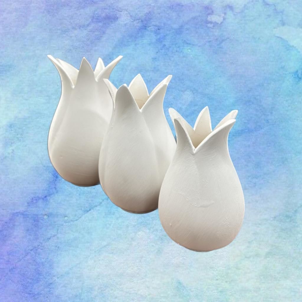 Bisküvi Lale Takımı