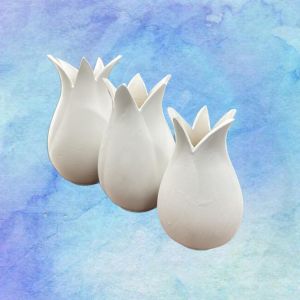 Bisküvi Lale Takımı