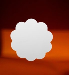 10cm Bisküvi Papatya Nihale