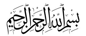 20*40cm Karo Deseni 2